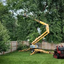 Lawn Grading and Leveling in Wildomar, CA